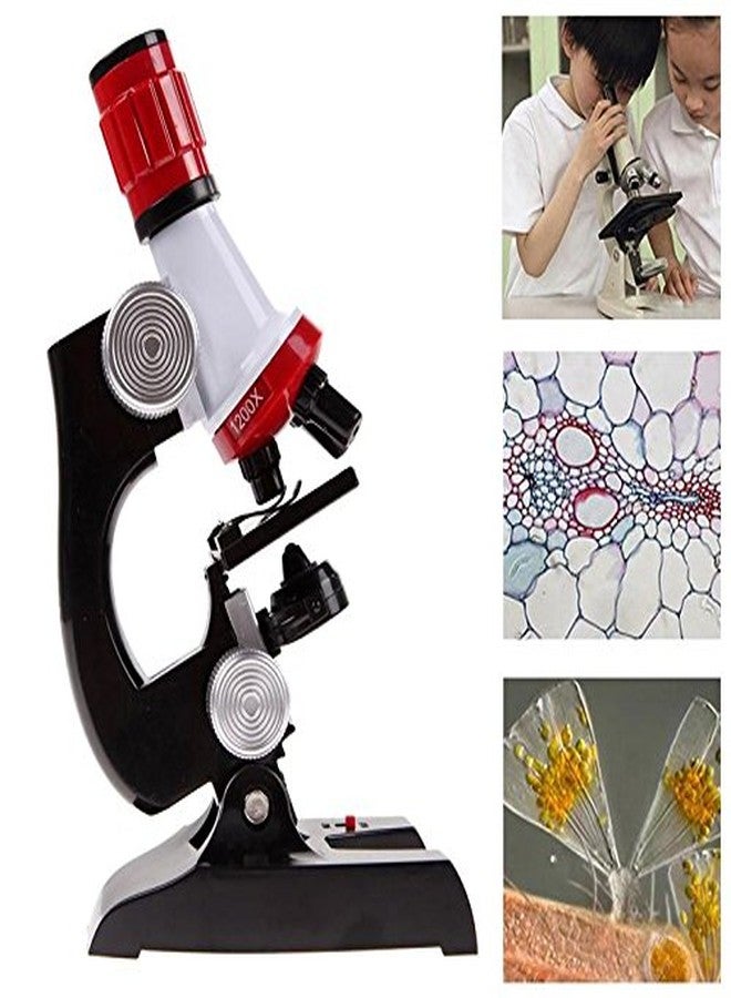 Quasar Science Microscope Kits with Slides Educational in Beginner Kit with LED Zooming 100X 400X and 1200X Students Educational Learning Magnification for Kids Only Toy Purpose Uses Not Real - Image 2